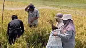 Petani-Desa-Terusan.jpg