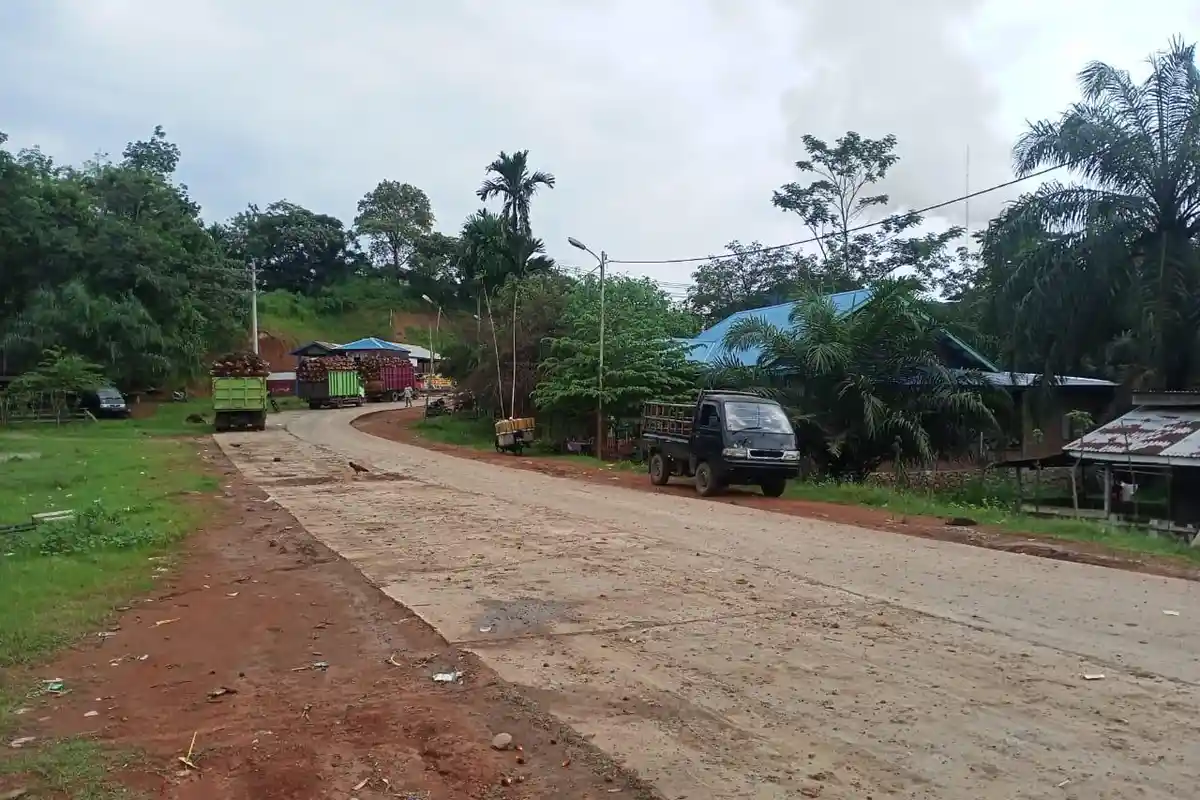 Harga TBS Sawit Hari Ini Merangkak Naik, di Bengkulu Tengah Naik Rp 50 tiap Kilonya