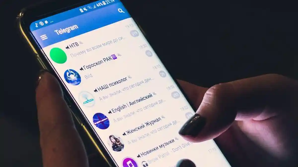 Ada Fitur Baru Dari Telegram, Namun Ini Perbedaan Untuk Yang Berbayar dan Gratisan