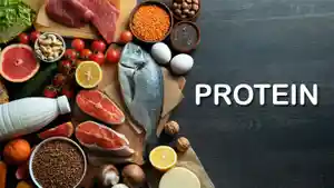 Makanan-kaya-protein.jpg