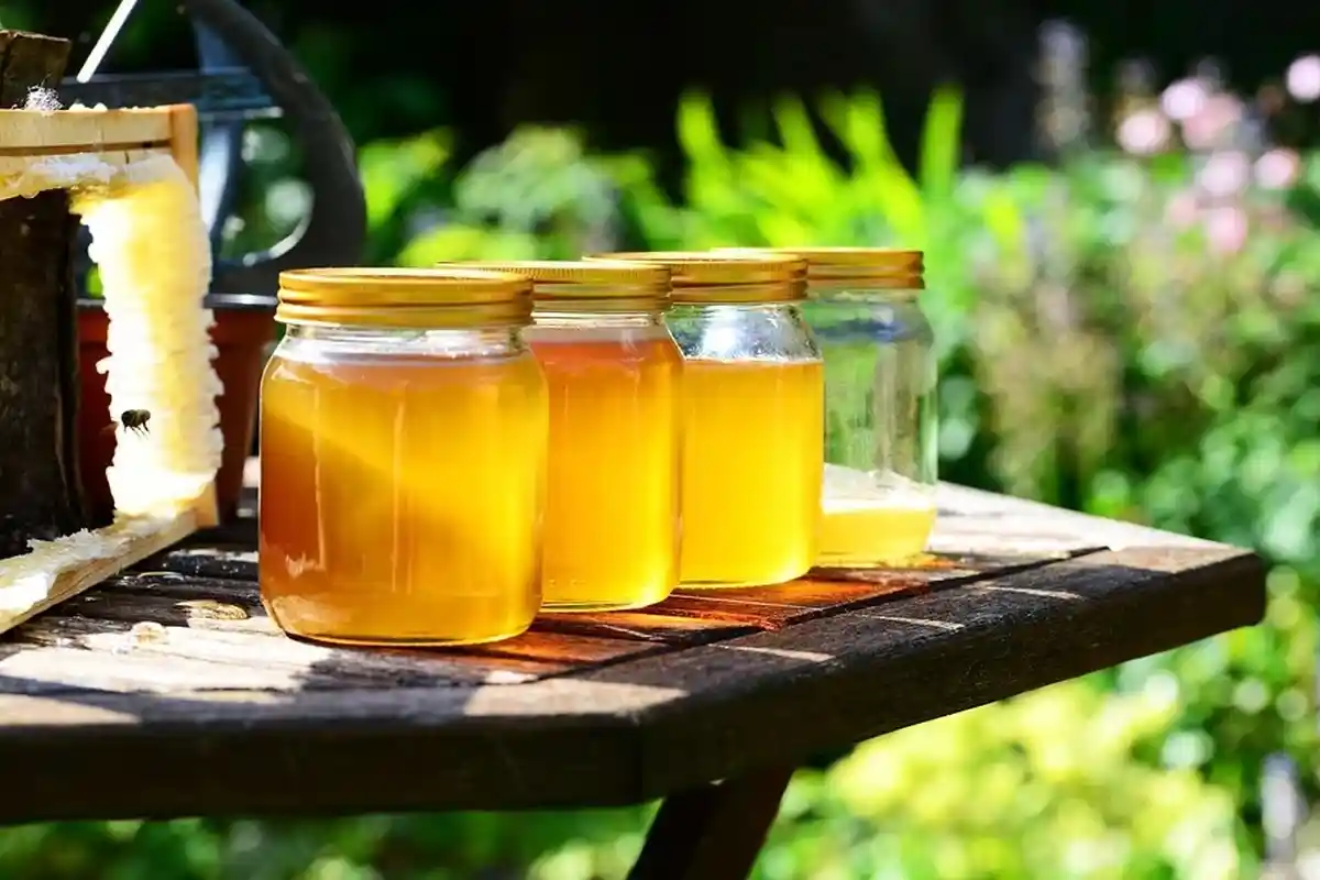 7 Cara Mengatasi Batuk Kering dengan Bahan Alami, Bisa dengan Air Garam, Madu dan Uap