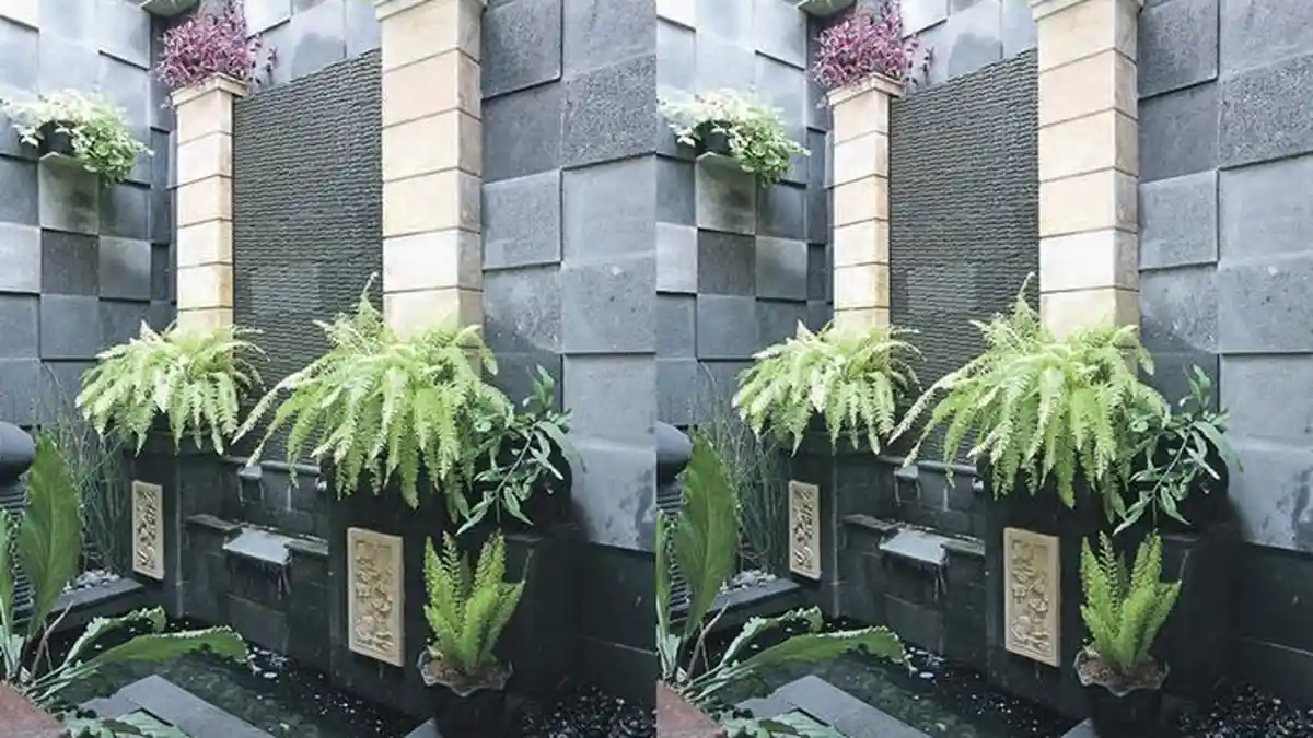 TIPS Buat Waterwall di Rumah Berlahan Sempit, Begini Cara Praktisnya