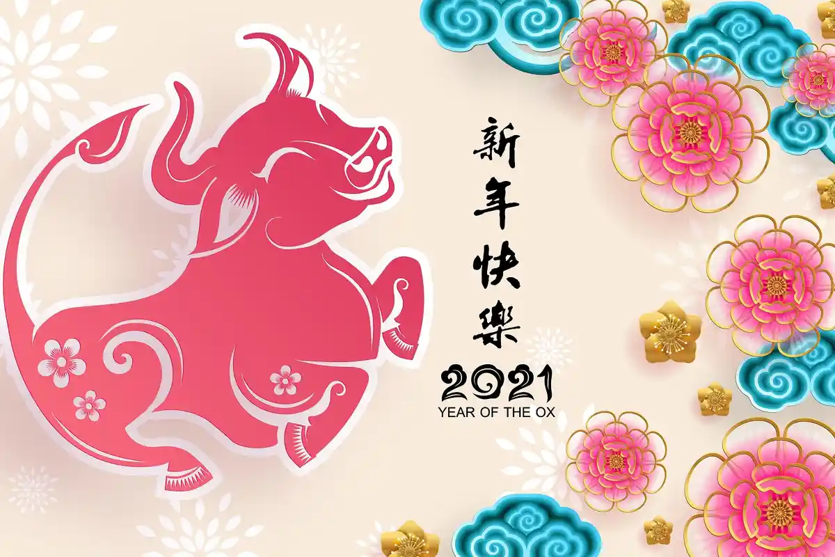 Prediksi Shio 2021, di Tahun Kerbau Logam Ini Ada Beberapa Shio yang Punya Masalah Keuangan