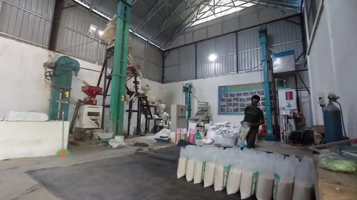 Pembangunan IKN Nusantara Dorong Modernisasi Pertanian di Kutai Kartanegara