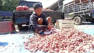JEMUR-BAWANG-Sayful-Imam-Pedagang-bawang-merah-dan-bawang-putih-di-Pasar-Alok.jpg