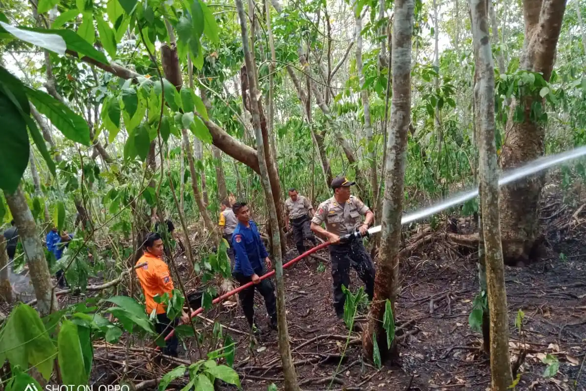 Lahan Kebun Karet Warga Langsa Timur Terbakar, Polisi Lakukan Penyelidikan