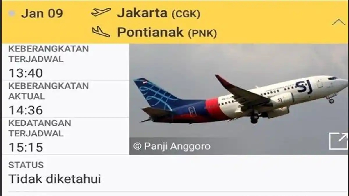 TERKINI, Daftar Penumpang Sriwijaya Air yang Hilang, Ternyata Ada 3 Bayi dan 7 Anak-anak