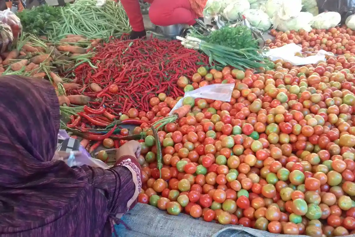 Harga Tomat Mulai Naik di Pasar Sentral Pangkajene Sidrap