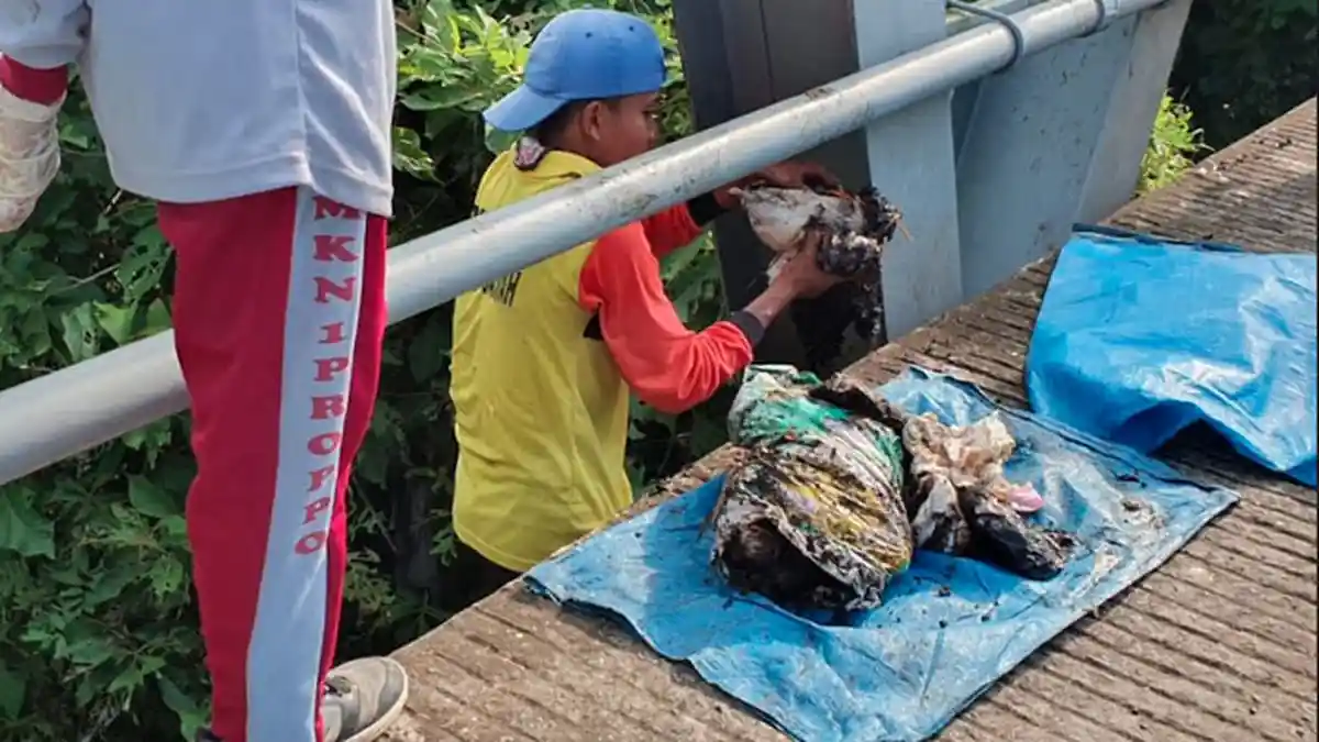 Dukung Program Pamekasan Cantik Berseri, DLH Lakukan Penanaman Pohon dan Bersih-Bersih Sungai