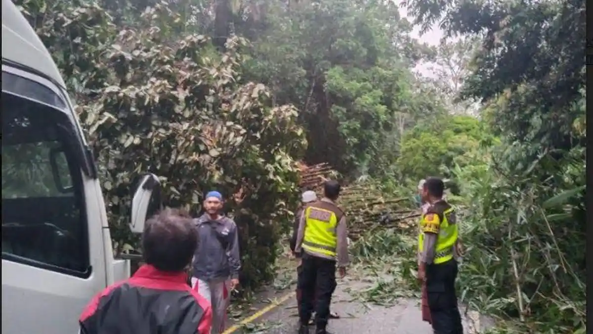 BREAKING NEWS - Longsor Terjadi di Desa Sungai Jering Pangkalan Jambu Merangin Jambi