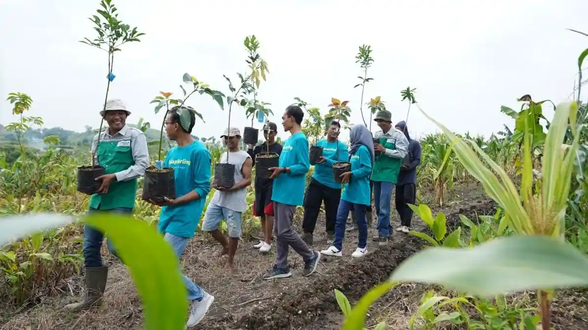 Gerakan One Action One Tree Tanam 47.845 Bibit Tanaman Kayu Multiguna di Patiayam Kudus