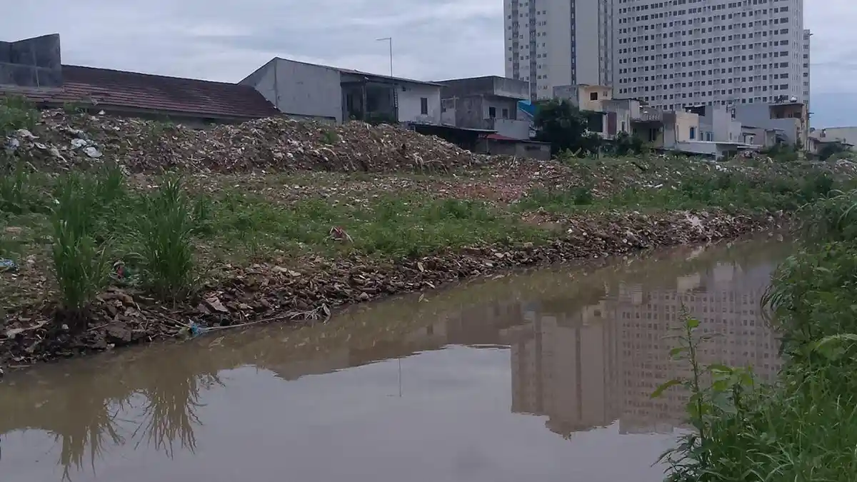 Tahu Nggak Way, Batam Punya 33 Sungai: Dangsi Jadi yang Terpanjang