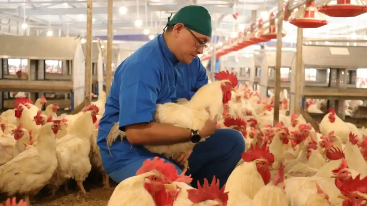 Permudah Konsumen, BUMN Pangan Ini Jual Daging Hewan Kurban Bentuk Kemasan Kaleng
