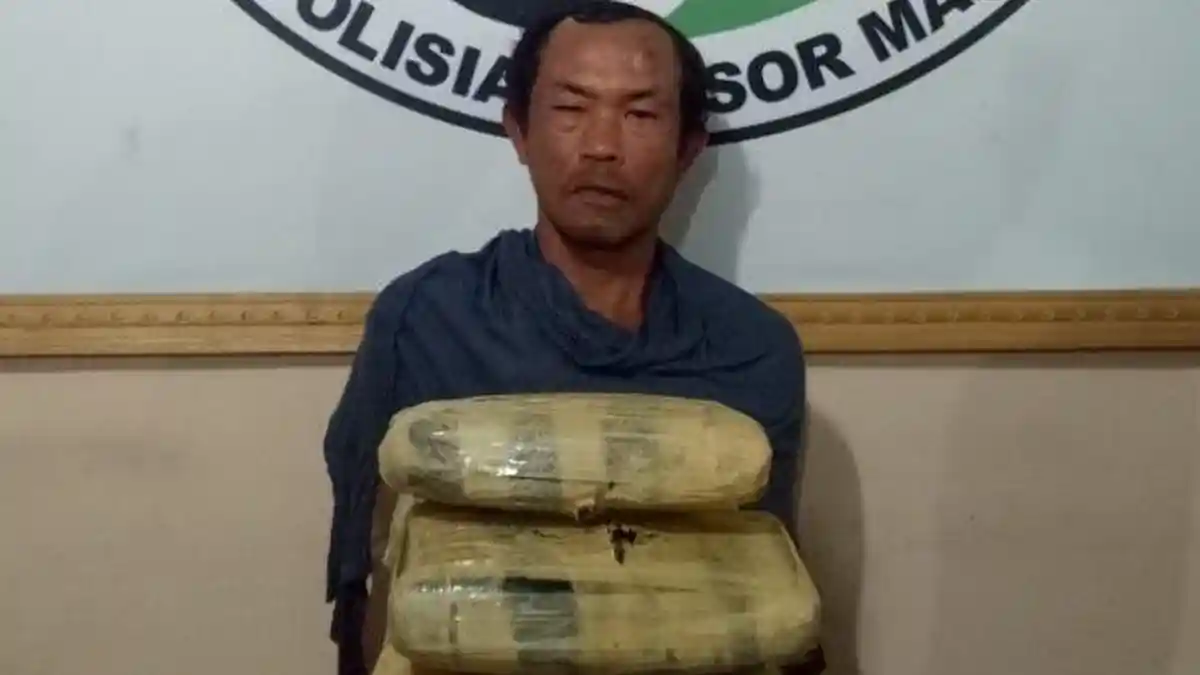 Polres Madina Gagalkan Peredaran 5 Kg Ganja
