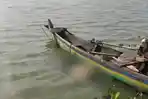 Sesosok-jenazah-pria-mengapung-di-areal-sawah-yang-terendam-banjir.jpg