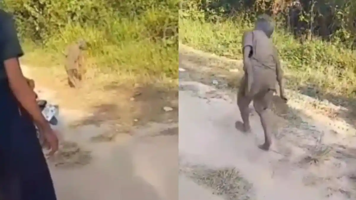VIRAL Bocah Dicekoki Arak Sama Temannya, Jalannya Sempoyongan, Badan Penuh Lumpur