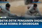 Detik-detik-Pengamen-Digigit-Ular-Kobra.jpg