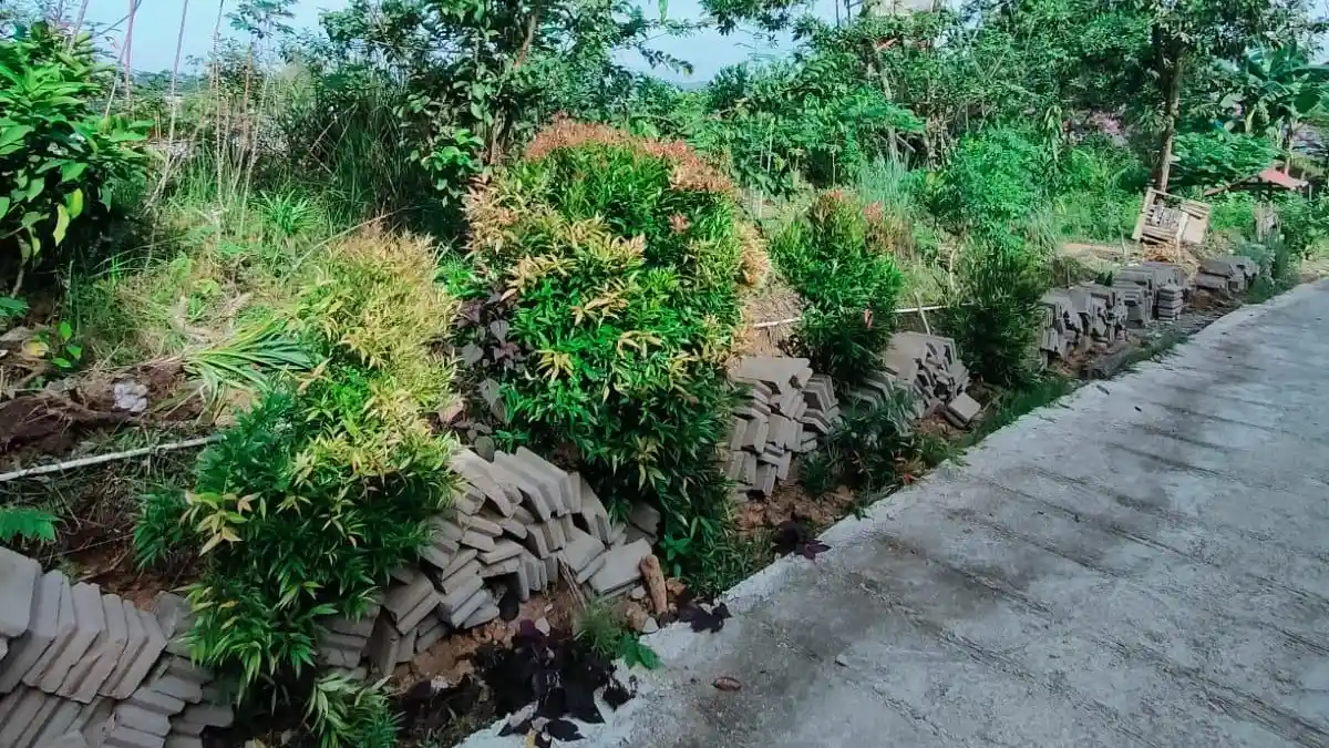 Cuaca Balikpapan Hari Ini, Dipayungi Langit Berawan Seharian