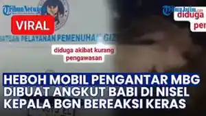 Viral-Video-Babi-Diangkut-Pakai-Mobil-SPPG-Nias-Selatan-2025-Bikin-Geger.jpg