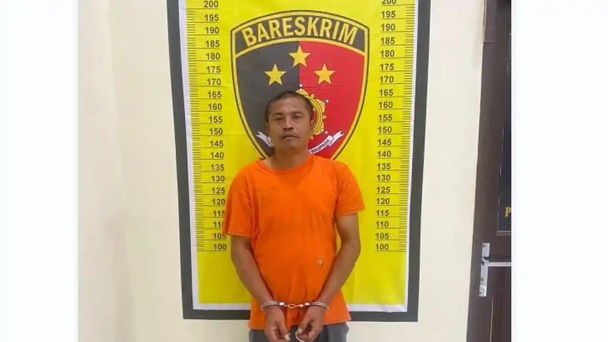 Diduga Kesal Kerap Ditanya Kenapa Belum Nikah, Parlindungan Siregar Bunuh Tetangga Pakai Kayu