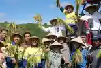 Beralih ke Cara Organik, Petani KSB Raup Panen Dua Kali Lipat