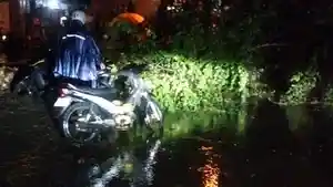 BPBD-Gianyar-minta-desa-siapkan-anggaran-kebencanaan-dari-dana-desa.jpg