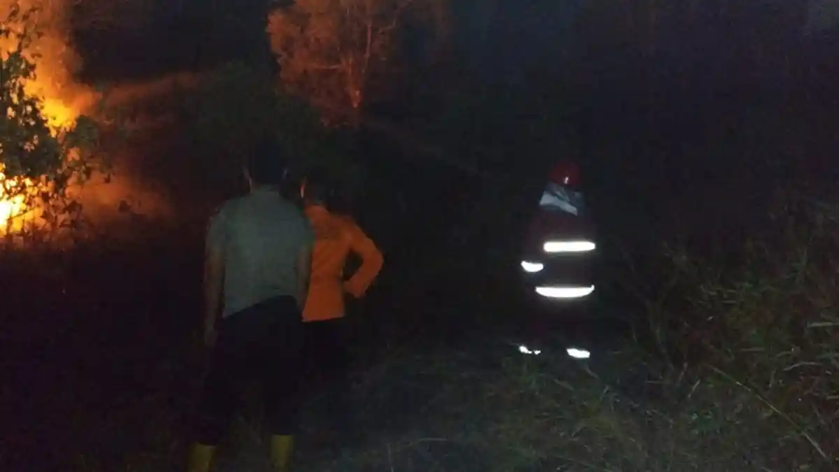 Api Melalap Satu Hektar Lahan di Desa Juru Seberang Belitung Kemarin Malam