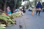 penjual-jagung-musiman-berderet-di-tepi-jalan-pahlawan-kota-samarinda.jpg