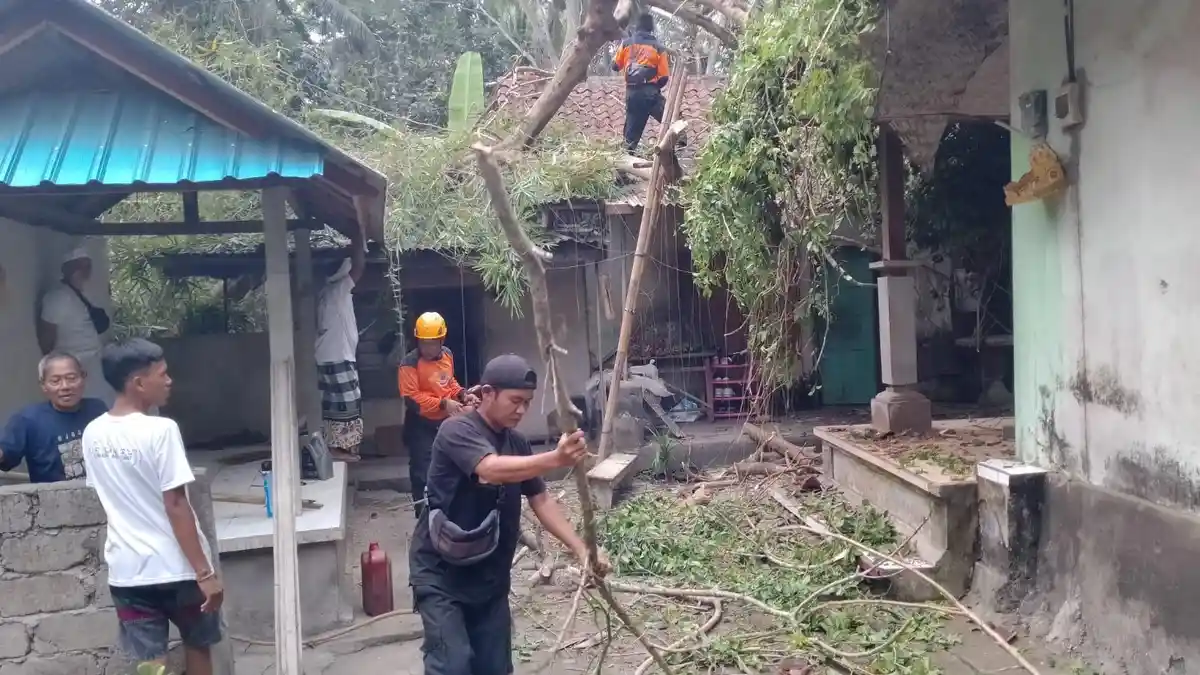 Pohon Tumbang Timpa Rumah dan Dapur Darti di Kecamatan Manggis Karangasem