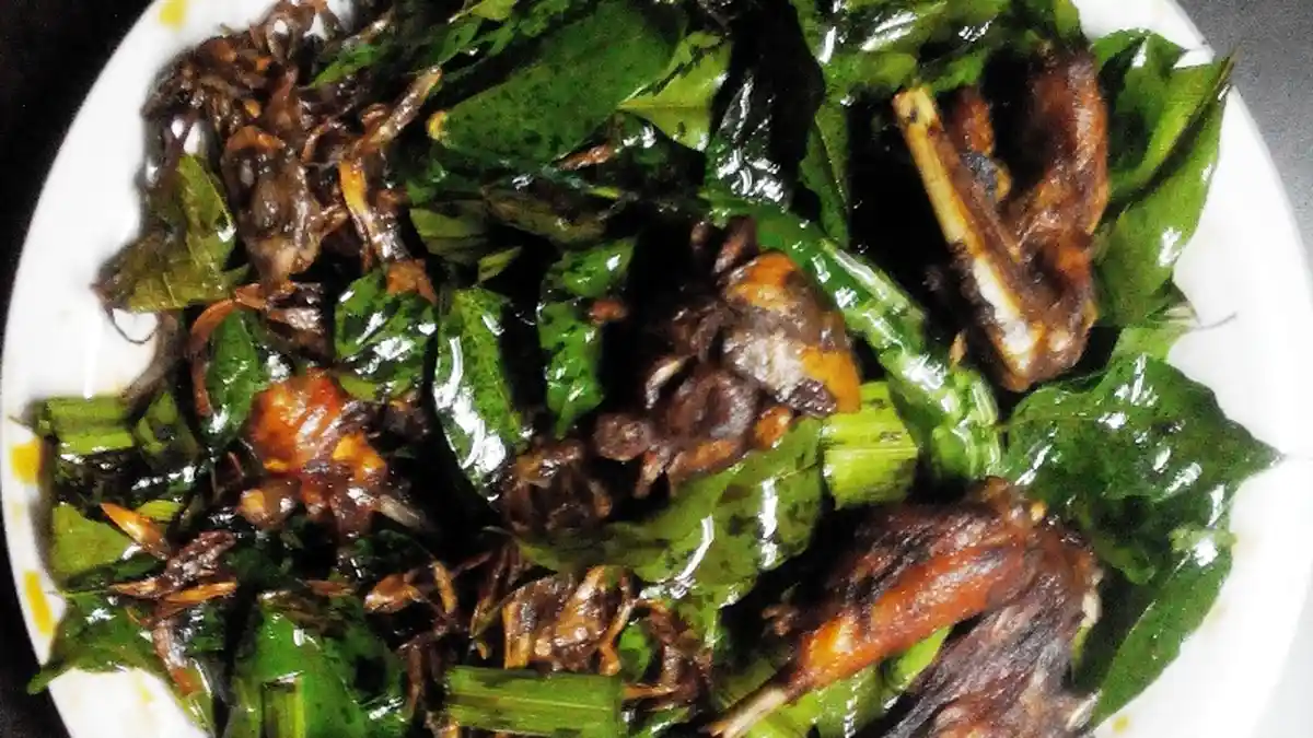 Tiga Kuliner Ayam Khas Aceh yang Dijamin Menggugah Selera Makan Anda