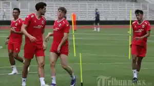 Timnas-Indonesia-seperti-Ole-Romeny-dan-Elkan-Baggott.jpg
