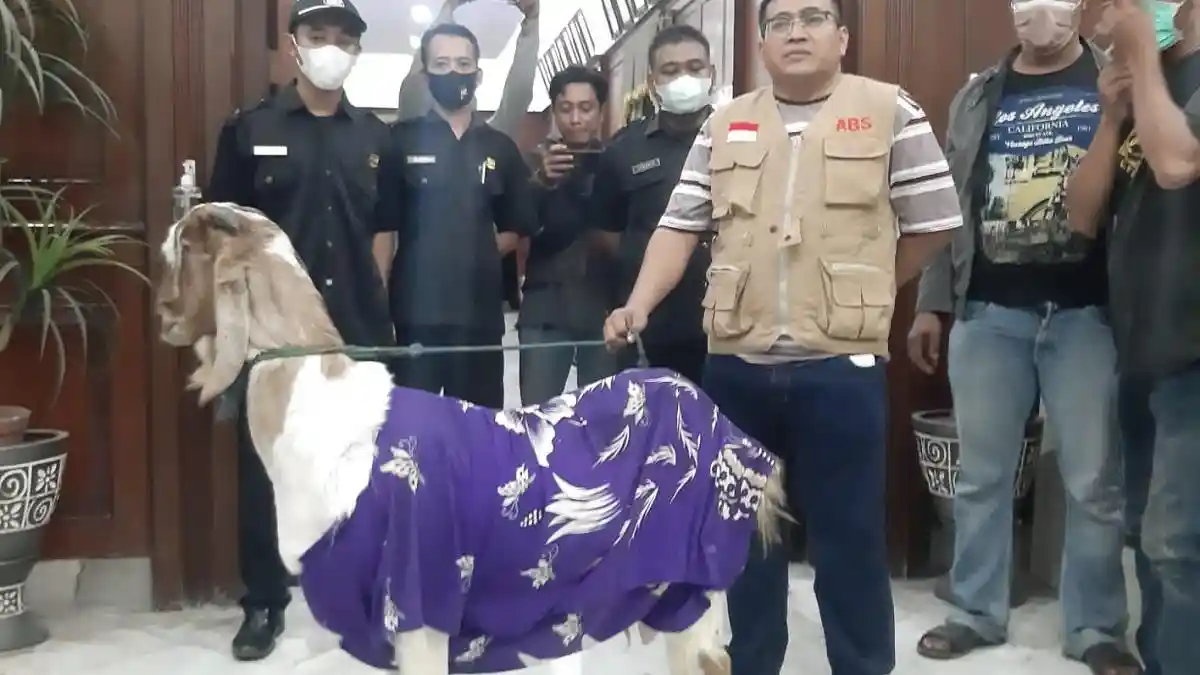 Protes Wakil Rakyat Fasilitasi Pernikahan Manusia dengan Domba, Warga Bawa Kambing ke DPRD Gresik