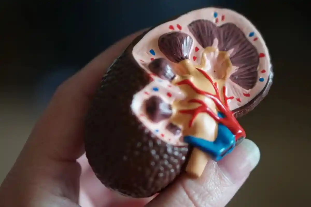 Farhiyatun Minta Maaf, Janji tak Lagi Jual Ginjalnya, Mengaku Kena Tegur dan Sudah Dapat Bantuan