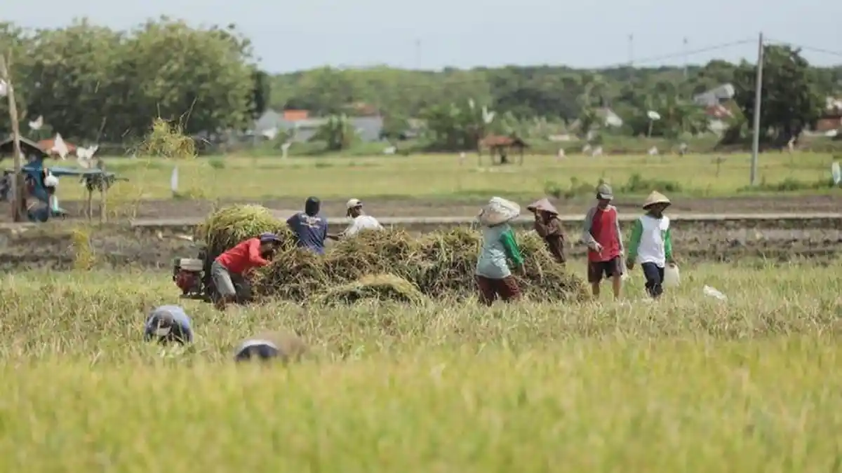 Kuartal 1 2025, Program Makmur Pupuk Indonesia Sentuh Hingga 128 ribu Petani