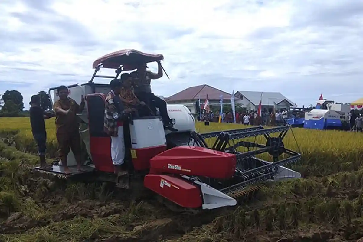 Abdya Segera Terapkan Program Tiga Kali Tanam Setahun, Ini Lokasi Lahannya