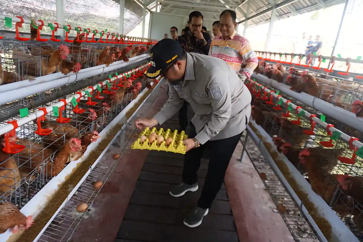 Demi Ketahanan Pangan, Wabup Paser Ikhwan Antasari Apresiasi Inovasi Rutan Tanah Grogot