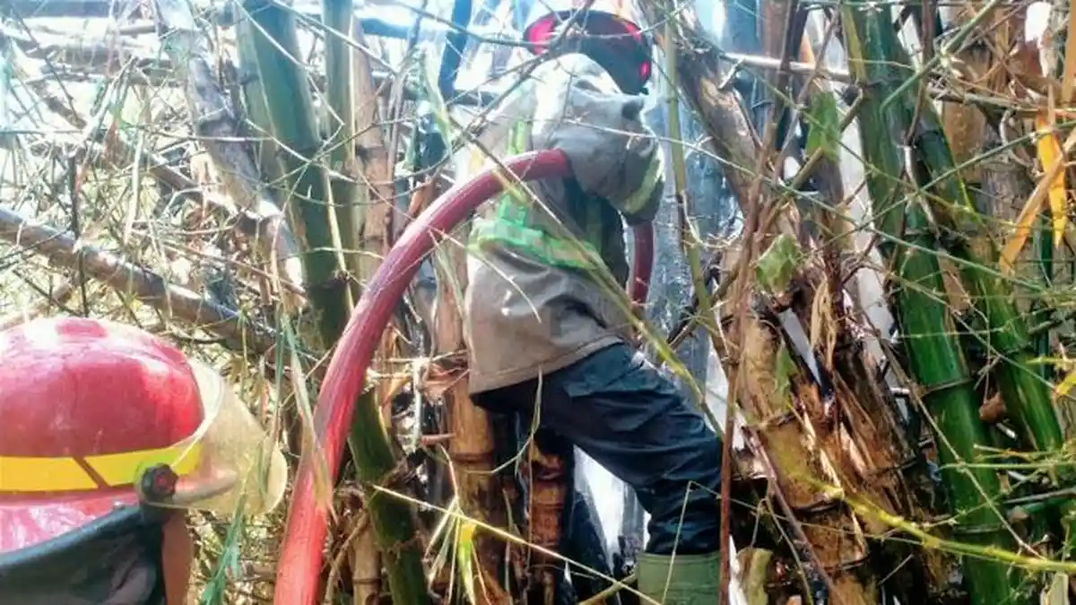 Warga Panik Api Membesar Melahap Rumpun Bambu Dekat Permukiman Jombang