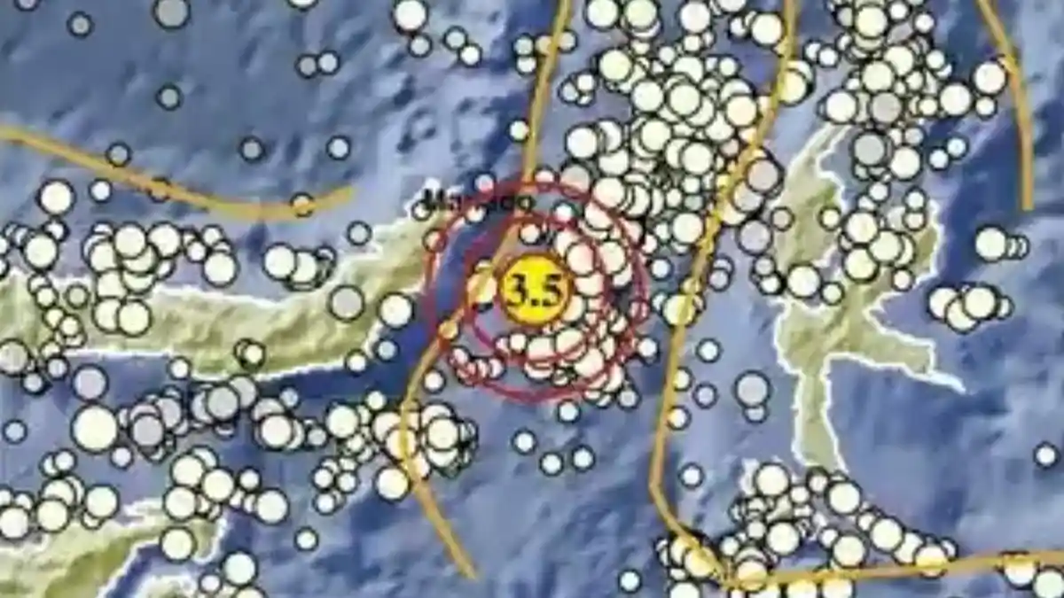 Gempa Terkini di Sulut Minggu 5 Juli 2026, Info BMKG Magnitudo dan Lokasinya - Tribunmanado.co.id