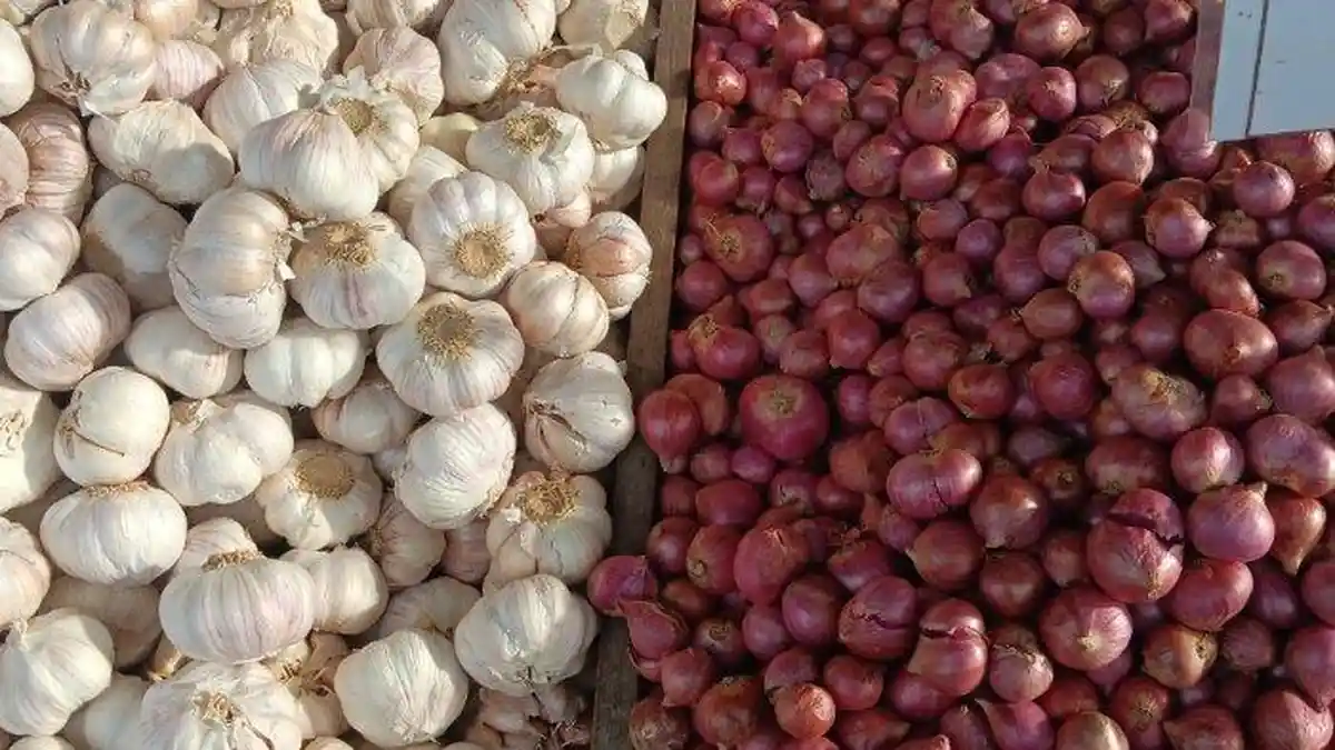 Harga Bawang Merah di Pangandaran Capai Rp60 Ribu per Kg Mendekati Lebaran