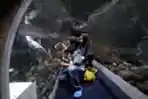 Berwisata ke Jakarta Aquarium