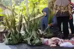 DLH-Kulon-Progo-Imbau-Masyarakat-Tak-Gunakan-Kemasan-Plastik-Saat-Bagikan-Daging-Kurban-Iduladha.jpg