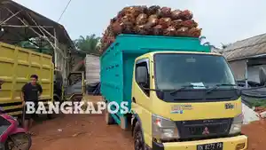 Kelapa-sawit-di-atas-truk.jpg