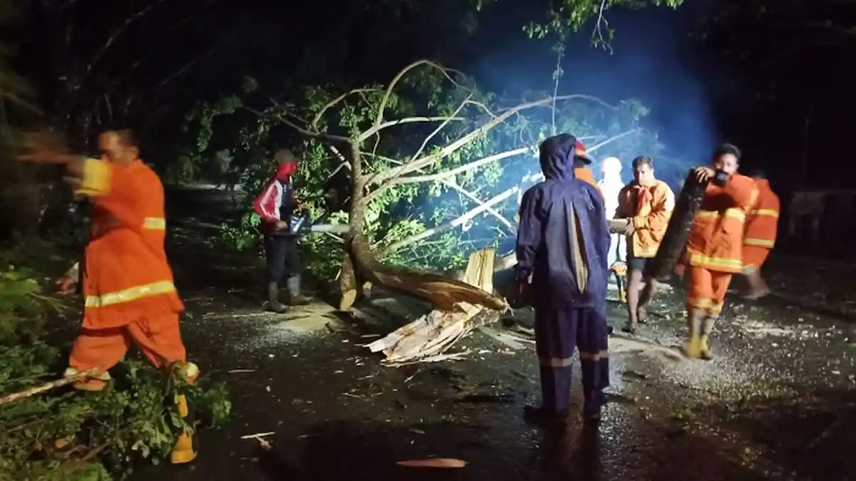 Simeulue Dilanda Angin Kencang, Sejumlah Pohon Tumbang dan Atap Rumah Warga Rusak
