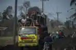 Pengungsi Erupsi Semeru Mulai Bersihkan Rumah