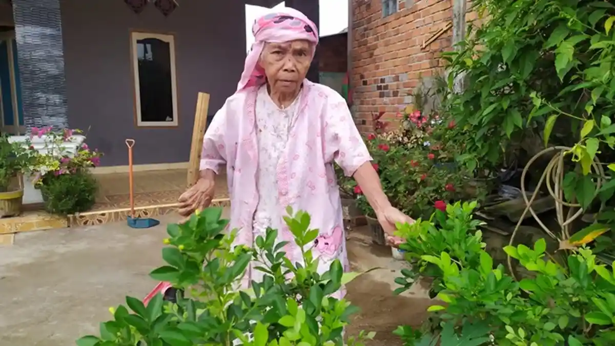 Ditutupi Bendera Belanda, Kisah Nenek Amda di Palembang, Lahir Pada 17 Agustus 1945