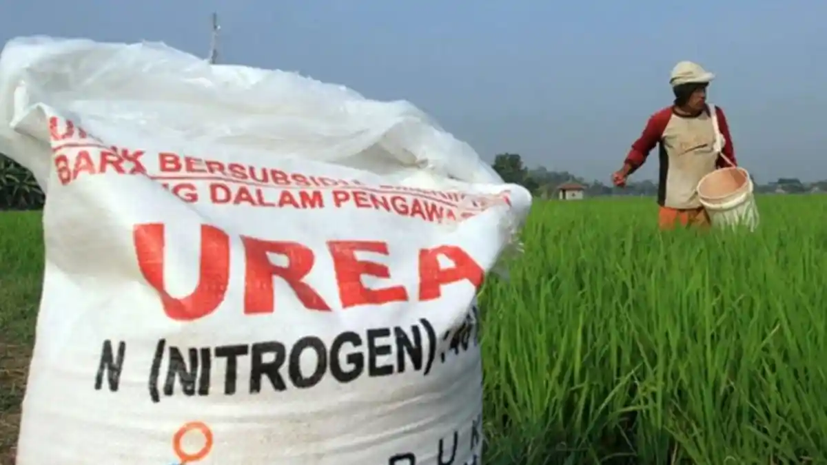 Banyak Petani di Grobogan Tidak Memahami HET Pupuk Bersubsidi