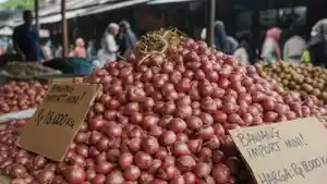 20251218-bawang-bombai-mini.jpg