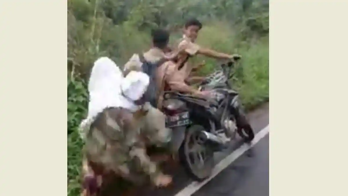 Viral Pelajar Tendang Nenek hingga Tersungkur di Tapanuli Selatan, Sang Nenek Histeris Ketakutan