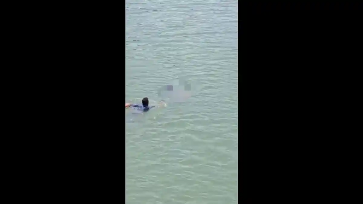 Viral Video Pria di Indramayu Lakukan Percobaan Bunuh Diri, Loncat Ke Sungai Cimanuk