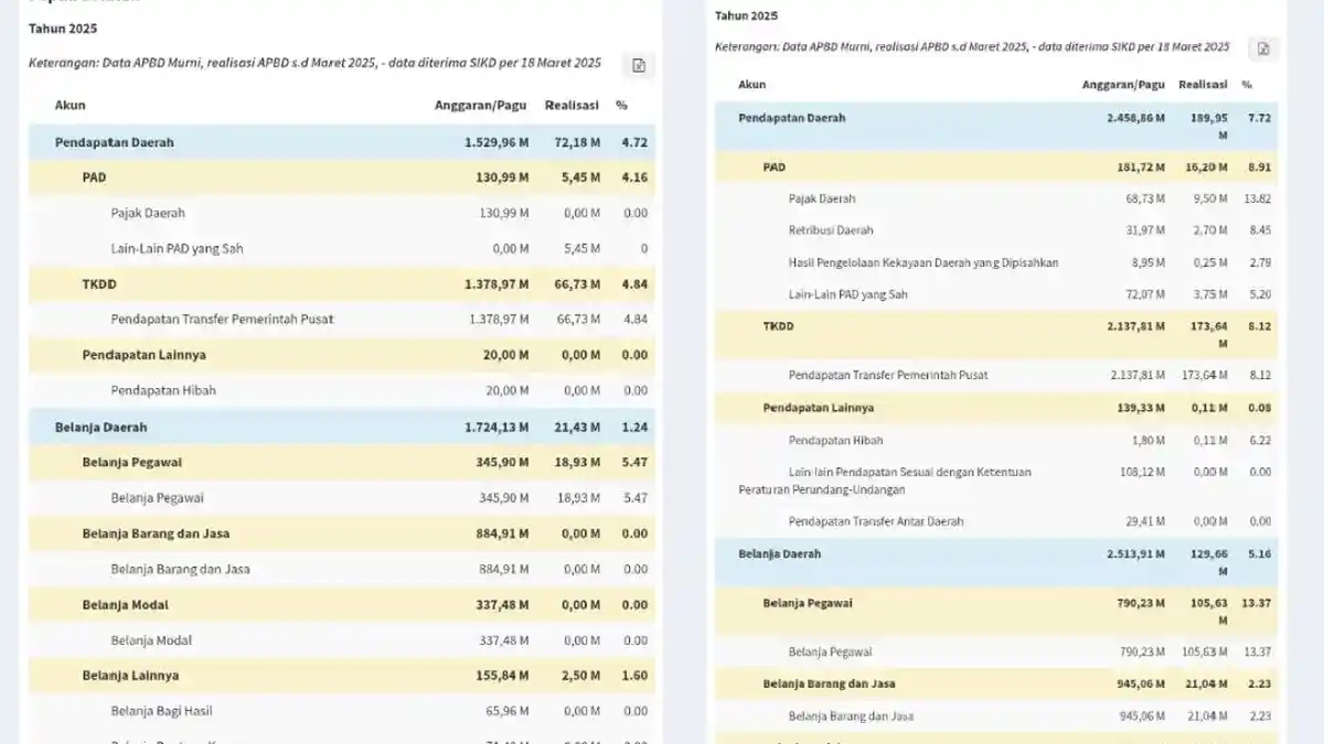 Daftar Lengkap APBD 2025 Kabupaten/Kota se-Papua Selatan, Kabupaten ...